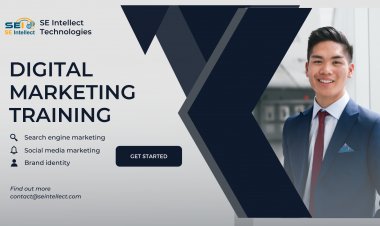 SEIntellect Technologies - A premier digital marketing training institute in Bareilly