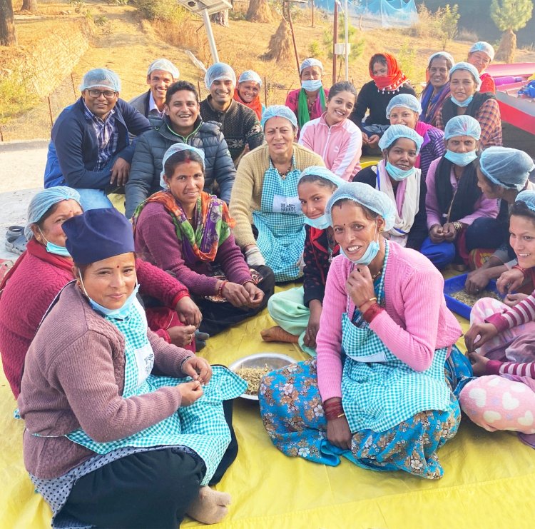 The Pahadi Story – Curating Products for Holistic Health Derived from the Source of Purity, the Himalayas