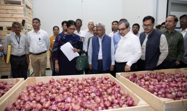 BARC’s path-breaking storage technology to help control onion prices