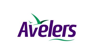 Avelers.com: Your Gateway to Premium Luxury Travel Experiences