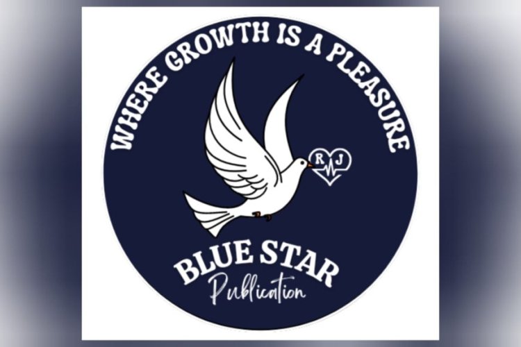 501 Writers Recognized Nationwide in Blue Star Publication’s LITSTAR Summit 2025