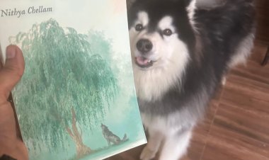 Waking with Willow: Author Nithya Chellam Unlocks the Healing Power of Plant Spirit Guides